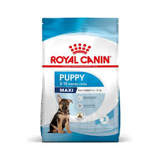 SHN Royal Canin Chien Maxi Puppy 4 Kg