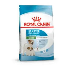 Royal Canin Starter Mini 1 Kg